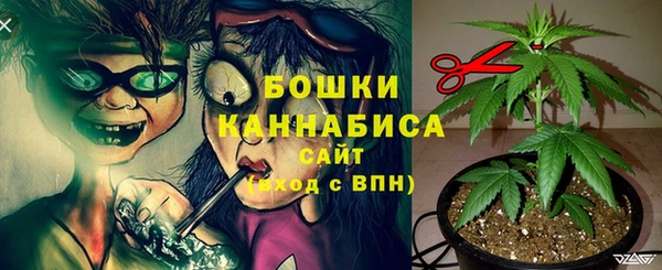 дживик Сафоново
